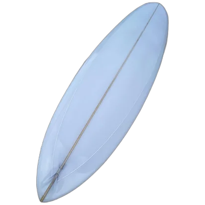 Lightwave Surfboards Rabid Sea Lion