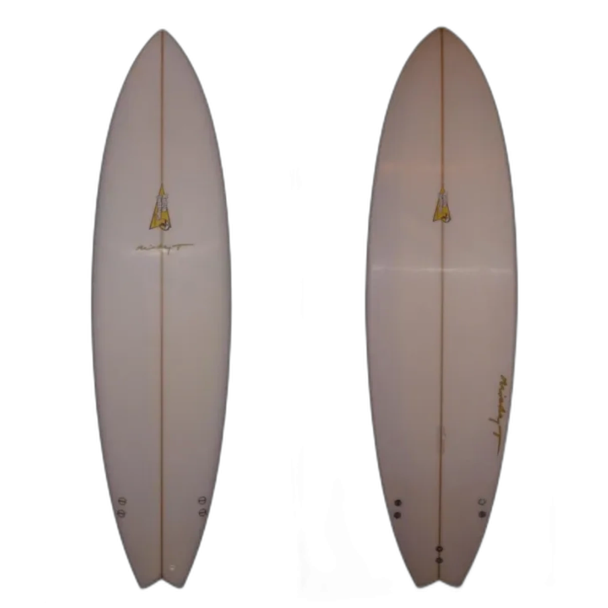 Raglan Longboards Maxi Fish